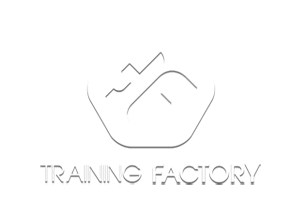 Design-Development of the website for Training Factory