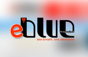 Portal Design &amp; Development of E-Blue Magazine