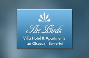 Σχεδίαση &amp; Ανάπτυξη Ιστοσελίδας της santorini-villa-thebirds.com