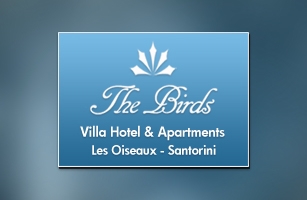 Website Design &amp; Development of The birds hotel &amp; villas in Santorini