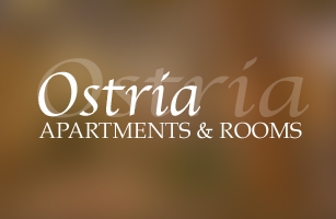 Website Design &amp; Web development of Pansion Ostria in Paros Island